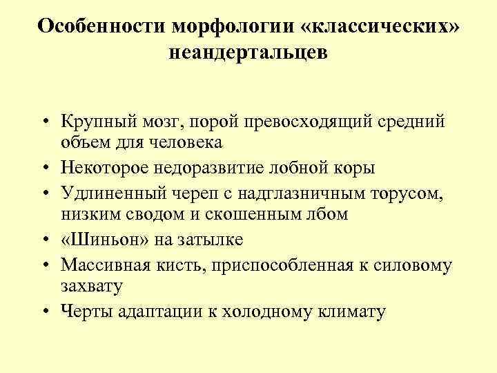 Особенности морфологии «классических» неандертальцев • Крупный мозг, порой превосходящий средний объем для человека •