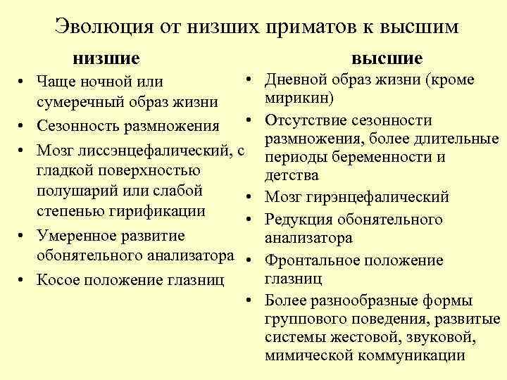 Эволюция от низших приматов к высшим низшие • • Чаще ночной или сумеречный образ