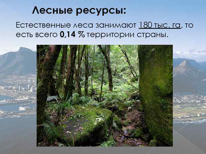 Водные и лесные ресурсы. Лесные ресурсы ЮАР. ЮАР природные ресурсы Лесные. ЮАР лес. Южно-Африканская Республика водные ресурсы.