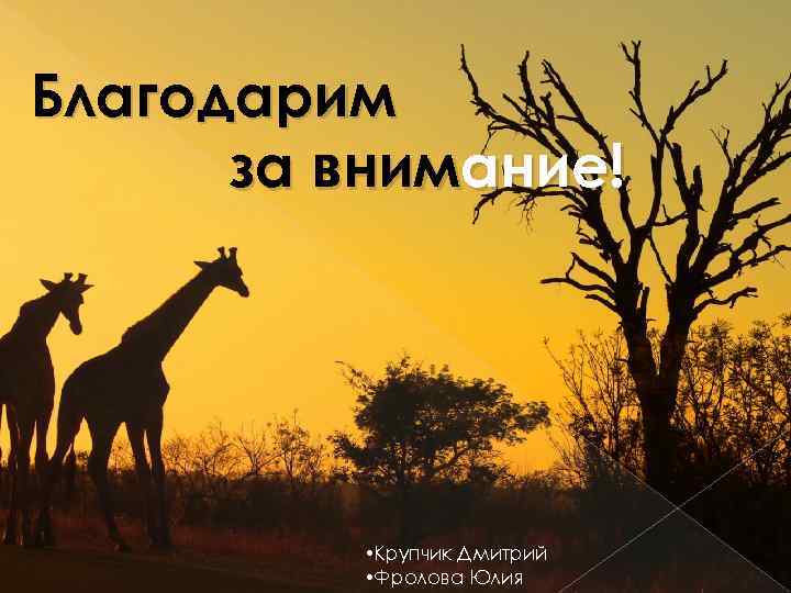 Благодарим за внимание! • Крупчик Дмитрий • Фролова Юлия 