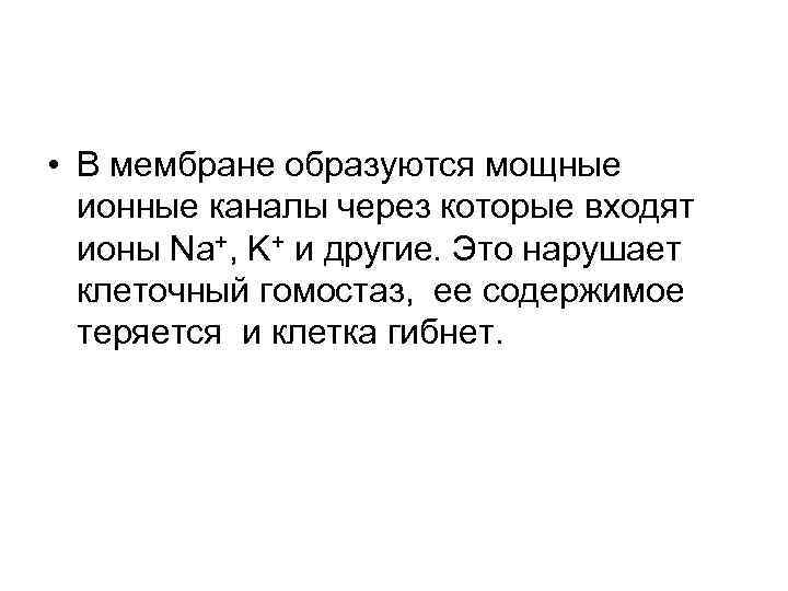  • В мембране образуются мощные ионные каналы через которые входят ионы Na+, K+