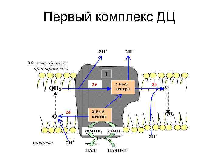 Первый комплекс ДЦ 