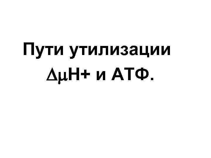 Пути утилизации Н+ и АТФ. 