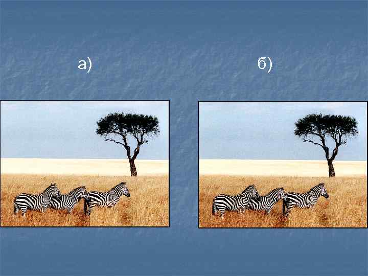 а) б) 