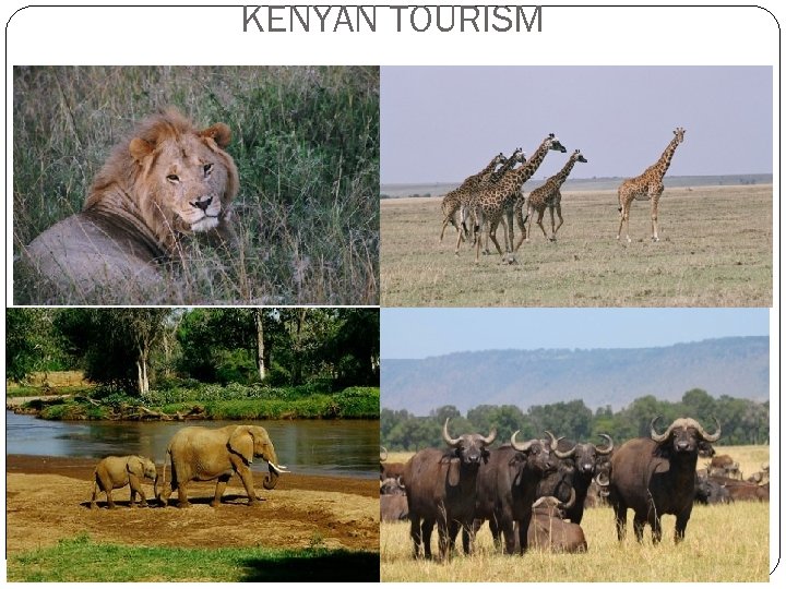 KENYAN TOURISM 