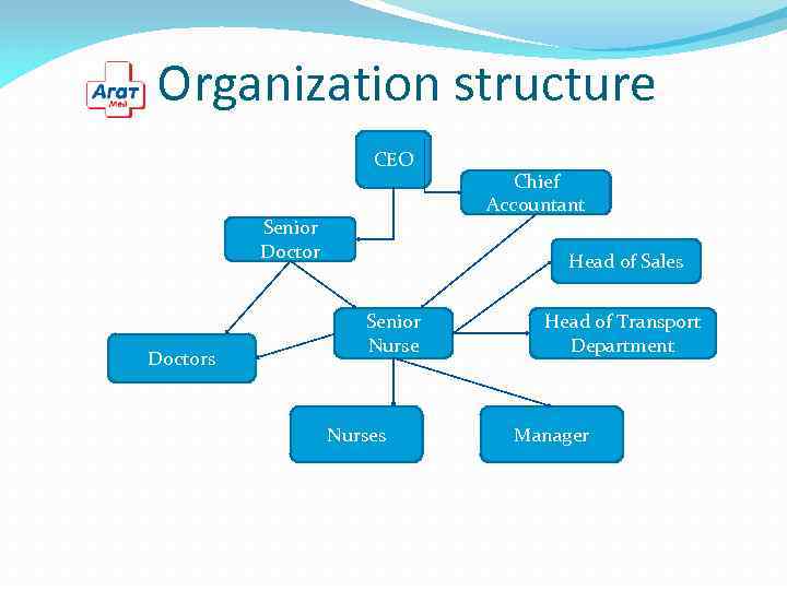 Organization structure CEO Senior Doctors Chief Accountant Head of Sales Senior Nurses Head of