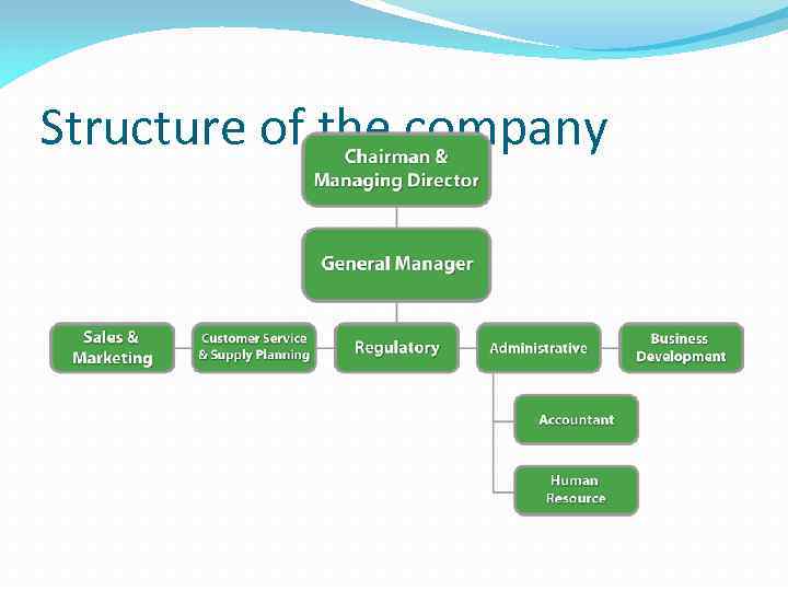 Structure of the company 