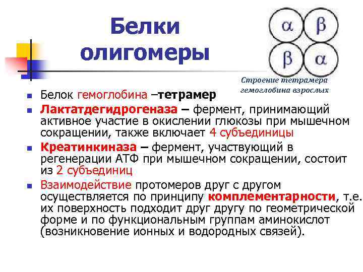 Белки олигомеры n n Строение тетрамера гемоглобина взрослых Белок гемоглобина –тетрамер Лактатдегидрогеназа – фермент,