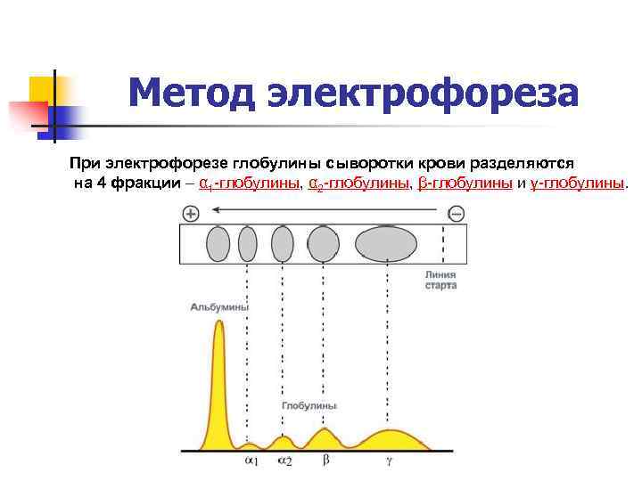 Электрофорез белков. Разделение белковых фракций крови методом электрофореза. Электрофоретическое Разделение белков сыворотки крови. Фракции электрофорез белков электрофорез. Электрофорез белков сыворотки крови норма.