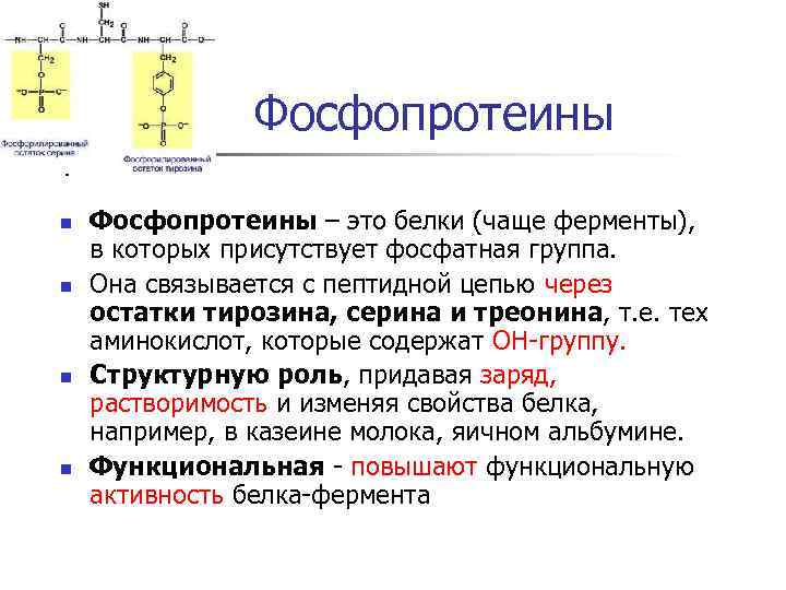 Какой из 2 белков