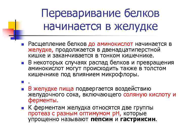 Переваривание белков начинается в желудке n n n Расщепление белков до аминокислот начинается в