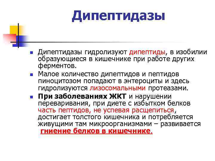 Дипептидазы n n n Дипептидазы гидролизуют дипептиды, в изобилии образующиеся в кишечнике при работе