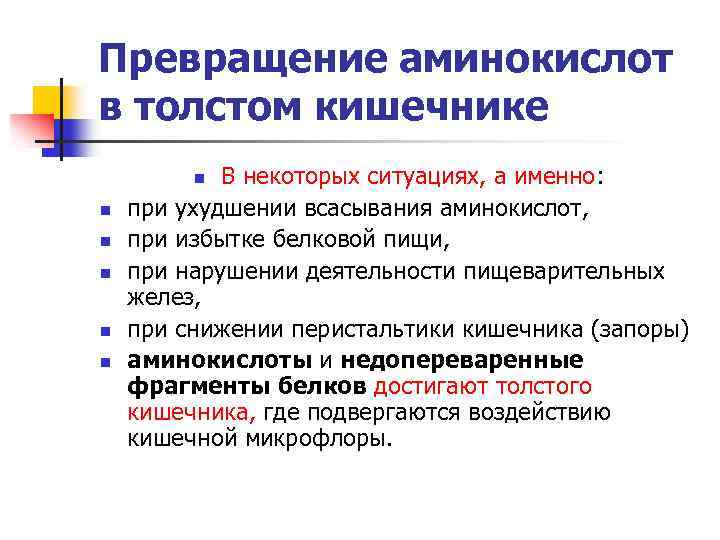 Превращение аминокислот в толстом кишечнике В некоторых ситуациях, а именно: при ухудшении всасывания аминокислот,