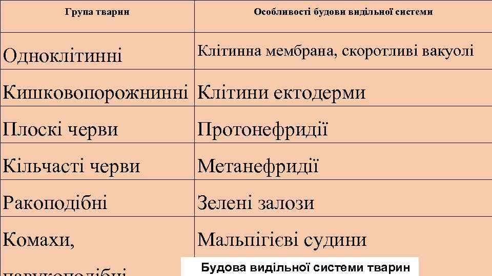 Група тварин Одноклітинні Особливості будови видільної системи Клітинна мембрана, скоротливі вакуолі Кишковопорожнинні Клітини ектодерми