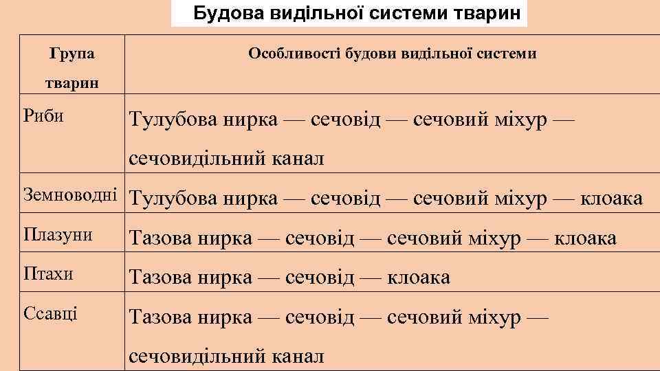 Будова видільної системи тварин Група Особливості будови видільної системи тварин Риби Тулубова нирка —