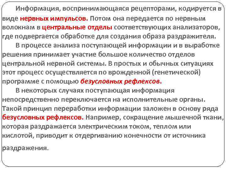 Информация, воспринимающаяся рецепторами, кодируется в виде нервных импульсов. Потом она передается по нервным волокнам