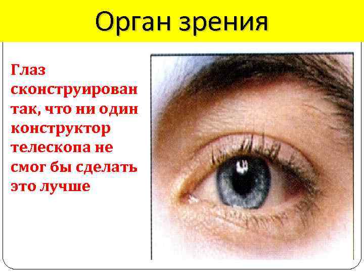 Орган зрения Глаз сконструирован так, что ни один конструктор телескопа не смог бы сделать