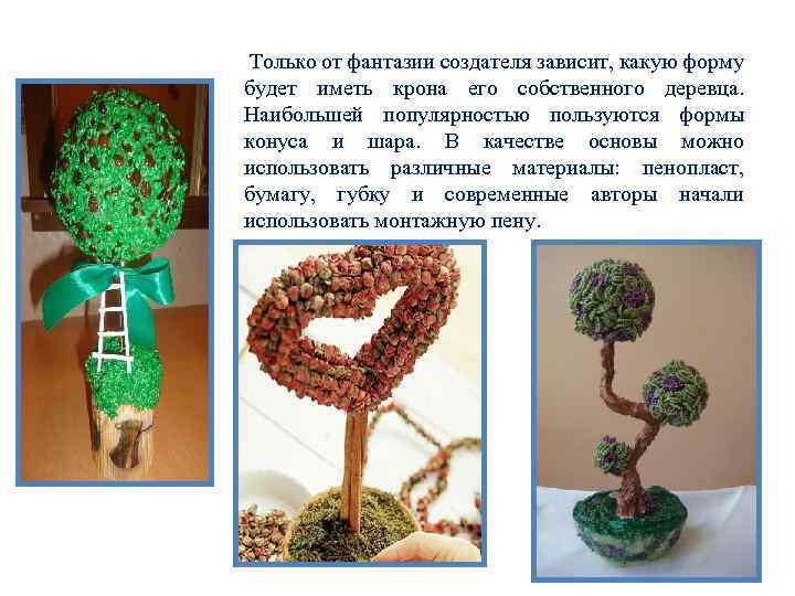 Только от фантазии создателя зависит, какую форму будет иметь крона его собственного деревца. Наибольшей