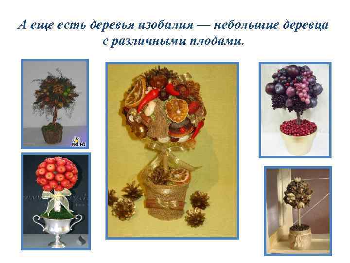 А еще есть деревья изобилия — небольшие деревца с различными плодами. 