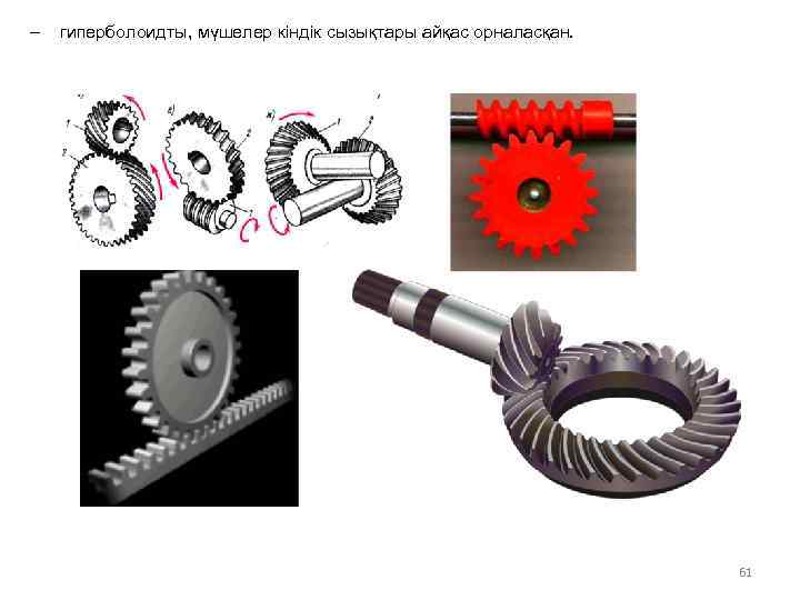 - гиперболоидты, мүшелер кіндік сызықтары айқас орналасқан. 61 