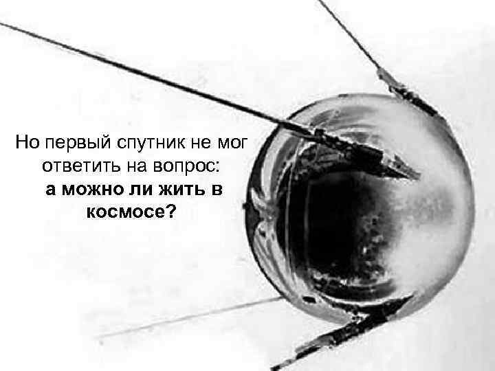 Но первый спутник не мог ответить на вопрос: а можно ли жить в космосе?