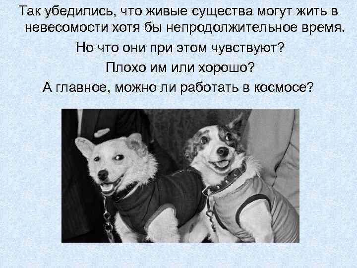 Так убедились, что живые существа могут жить в невесомости хотя бы непродолжительное время. Но