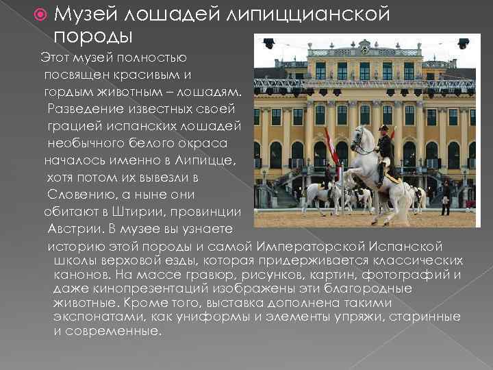  Музей лошадей липиццианской породы Этот музей полностью посвящен красивым и гордым животным –