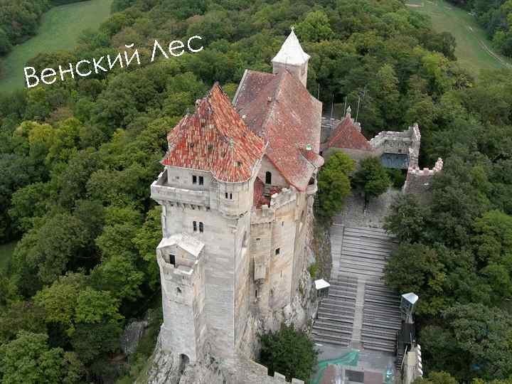 енс В Лес кий 