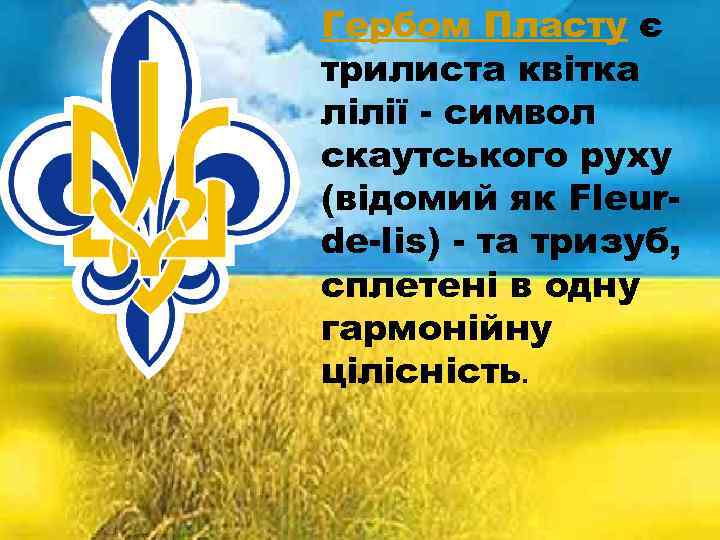 Гербом Пласту є трилиста квітка лілії - символ скаутського руху (відомий як Fleurde-lis) -