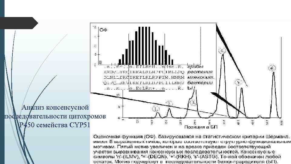 Анализ консенсусной последовательности цитохромов Р 450 семейства CYP 51 