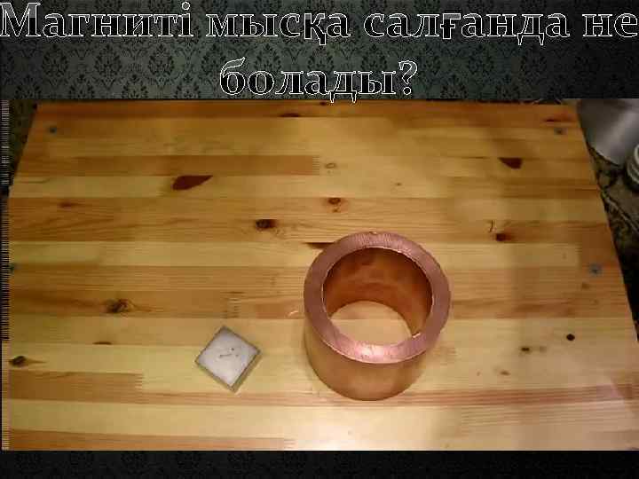 Магниті мысқа салғанда не болады? 