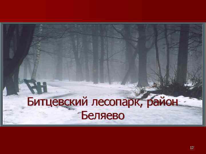 Битцевский лесопарк, район Беляево 12 