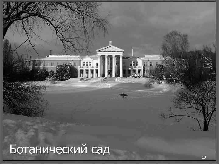 Ботанический сад 13 