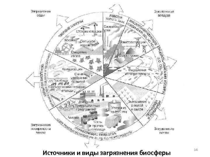 Источники и виды загрязнения биосферы 14 