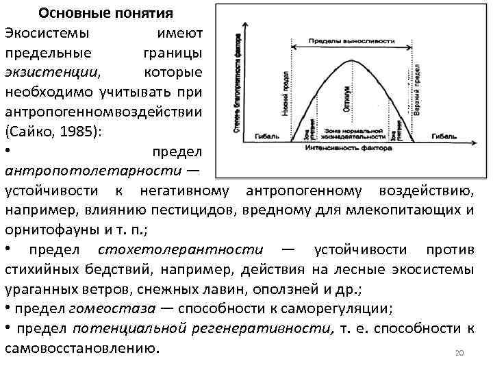Основные понятия Экосистемы имеют предельные границы экзистенции, которые необходимо учитывать при антропогенном воздействии (Сайко,