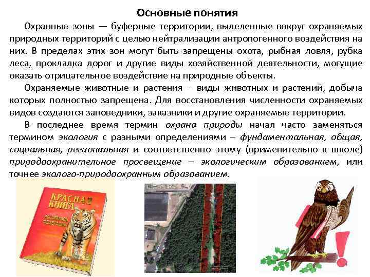 Основные понятия Охранные зоны — буферные территории, выделенные вокруг охраняемых природных территорий с целью
