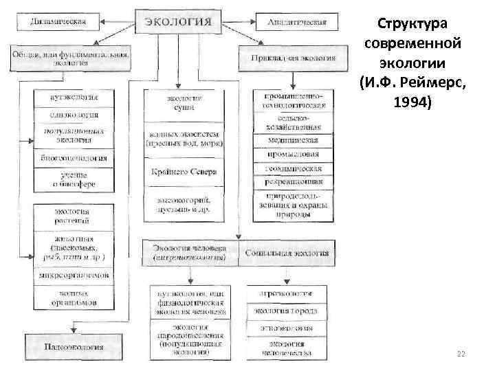 Структура современной экологии схема