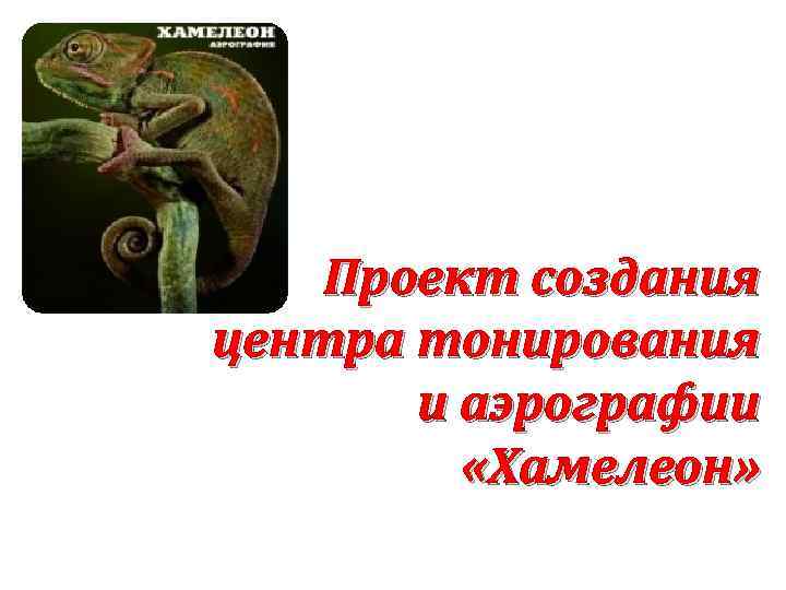 Проект создания центра тонирования и аэрографии «Хамелеон» 