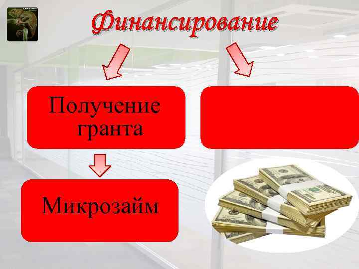 Финансирование Получение гранта Микрозайм Кредит в банке 