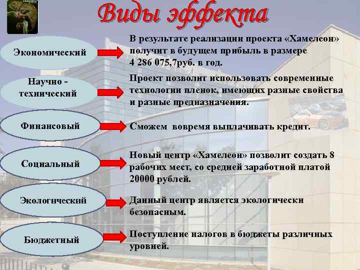Виды эффекта Экономический В результате реализации проекта «Хамелеон» получит в будущем прибыль в размере