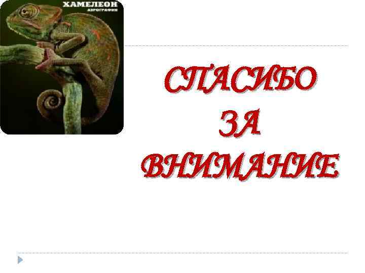СПАСИБО ЗА ВНИМАНИЕ 