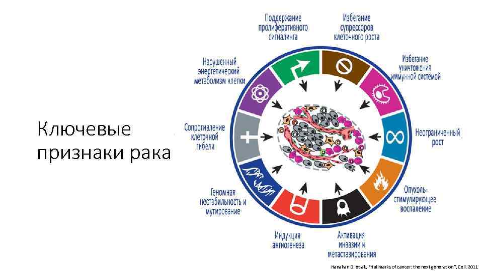 Ключевые признаки рака Hanahan D, et al. , “Hallmarks of cancer: the next generation”,