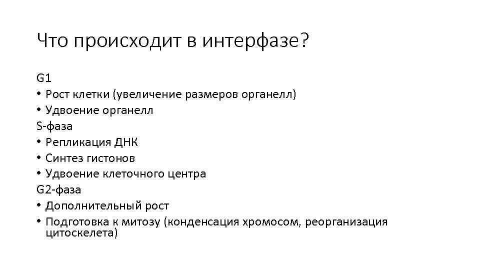 Что происходит в интерфазе? G 1 • Рост клетки (увеличение размеров органелл) • Удвоение