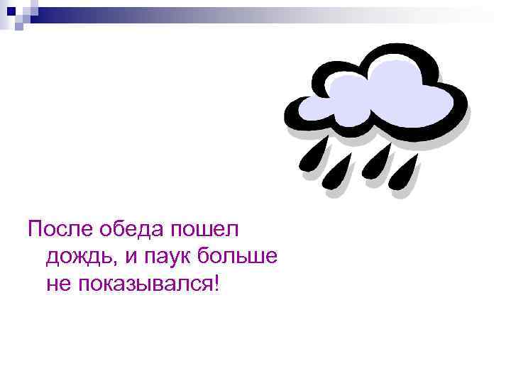 После обеда пошел дождь, и паук больше не показывался! 