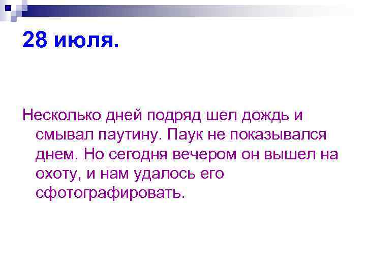 28 июля. Несколько дней подряд шел дождь и смывал паутину. Паук не показывался днем.