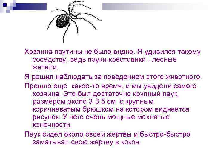 Хозяина паутины не было видно. Я удивился такому соседству, ведь пауки-крестовики - лесные жители.