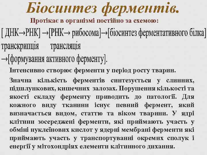 Біосинтез ферментів. Протікає в організмі постійно за схемою: Інтенсивно створює ферменти у період росту