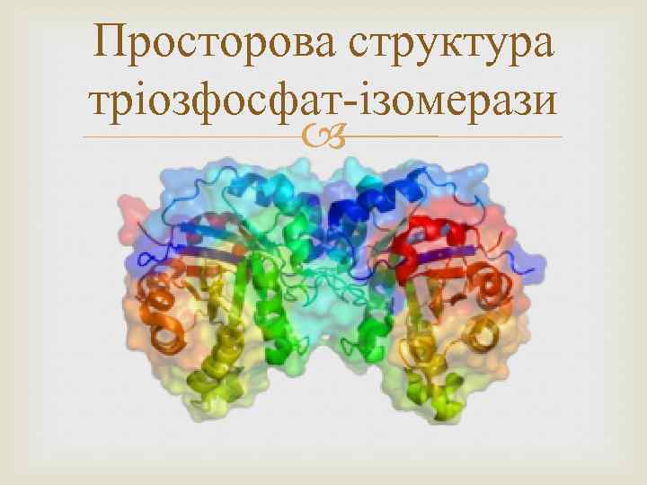 Просторова структура тріозфосфат-ізомерази 