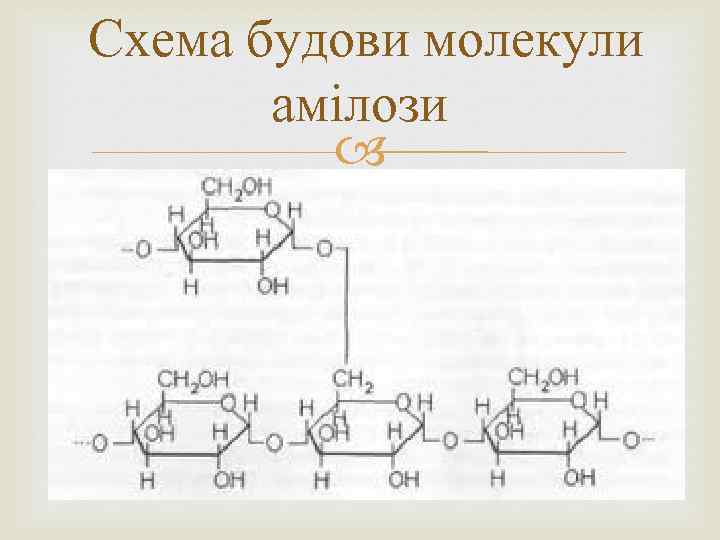 Схема будови молекули амілози 