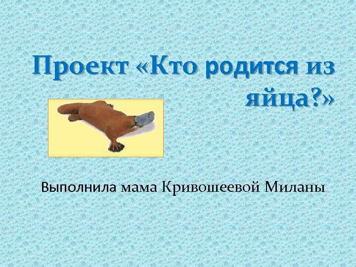 Проект «Кто родится из яйца? » Выполнила мама Кривошеевой Миланы. 